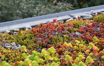the cost of Torphin green roof installation