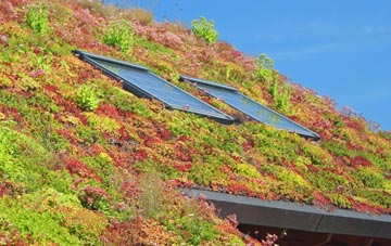 Torphin living roof systems