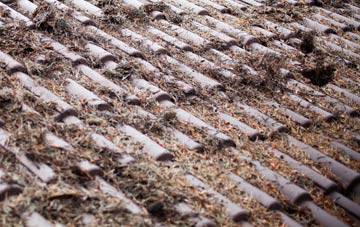 Torphin roof cleaning companies